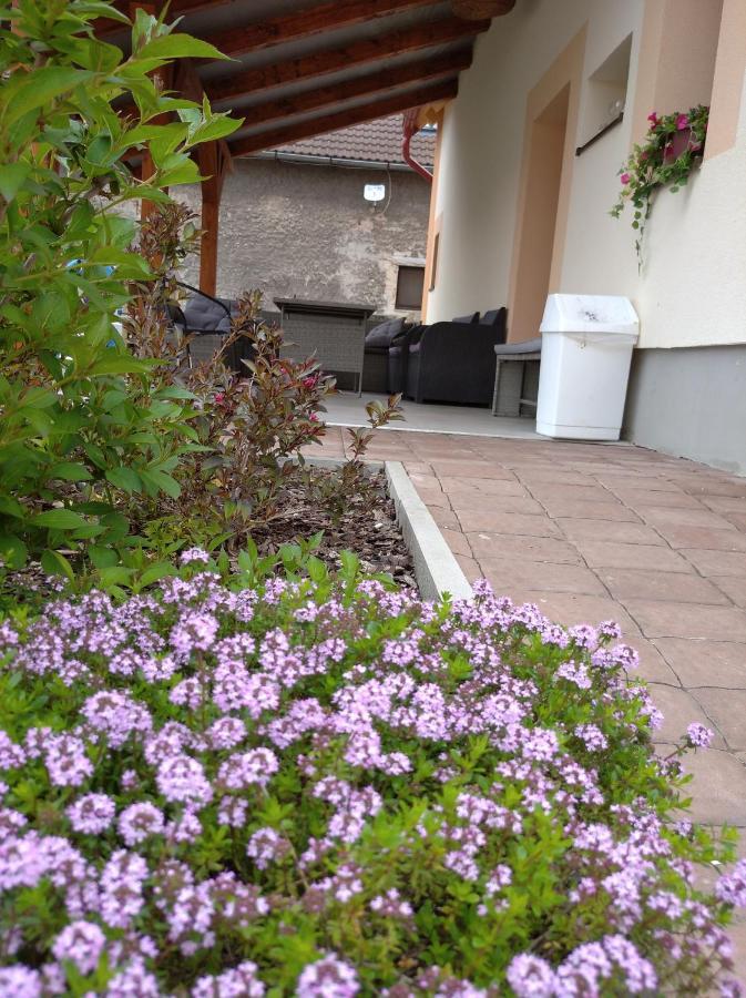 Apartmany Opolany Buitenkant foto